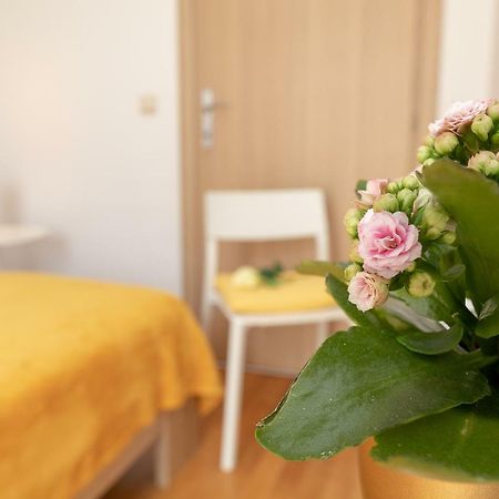Apartment Nik - Cosy And Stylish Dubrovnik Kültér fotó
